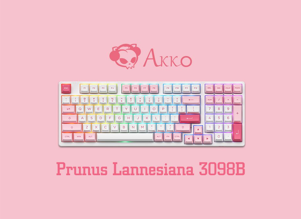 Akko 3098B Prunus Lannesiana RGB Hot-Swap Wireless Mechanical Gaming Keyboard 98-key Multi-Modes BT 5.0/2.4GHz/USB-C Double Shot Akko 3098B Prunus Lannesiana RGB Hot-Swap Wireless Mechanical Gaming Keyboard 98-key Multi-Modes BT 5.0/2.4GHz/USB-C Double Shot