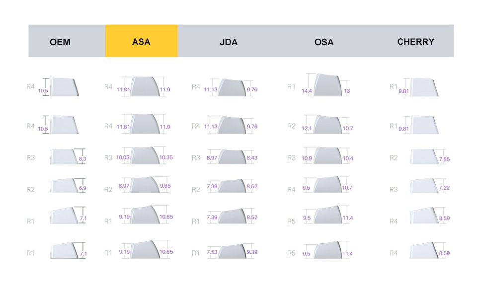 AKKO Macaw 199-Key ASA Profile/157-Key Cherry Profile Keycaps Set PBT Double-shot Full Keycaps Set with Custom Box AKKO Macaw 199-Key ASA Profile/157-Key Cherry Profile Keycaps Set PBT Double-shot Full Keycaps Set with Custom Box