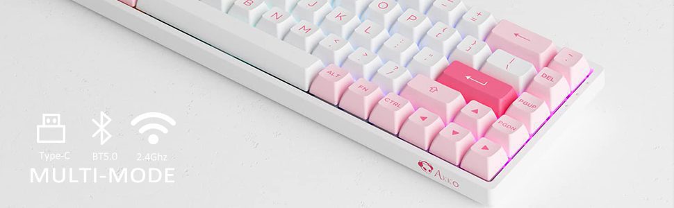 Akko 3068B Plus Prunus Lannesiana RGB Hot-Swap Wireless Mechanical Gaming Keyboard 68-Key Multi-Modes BT 5.0/2.4GHz/USB Type-C