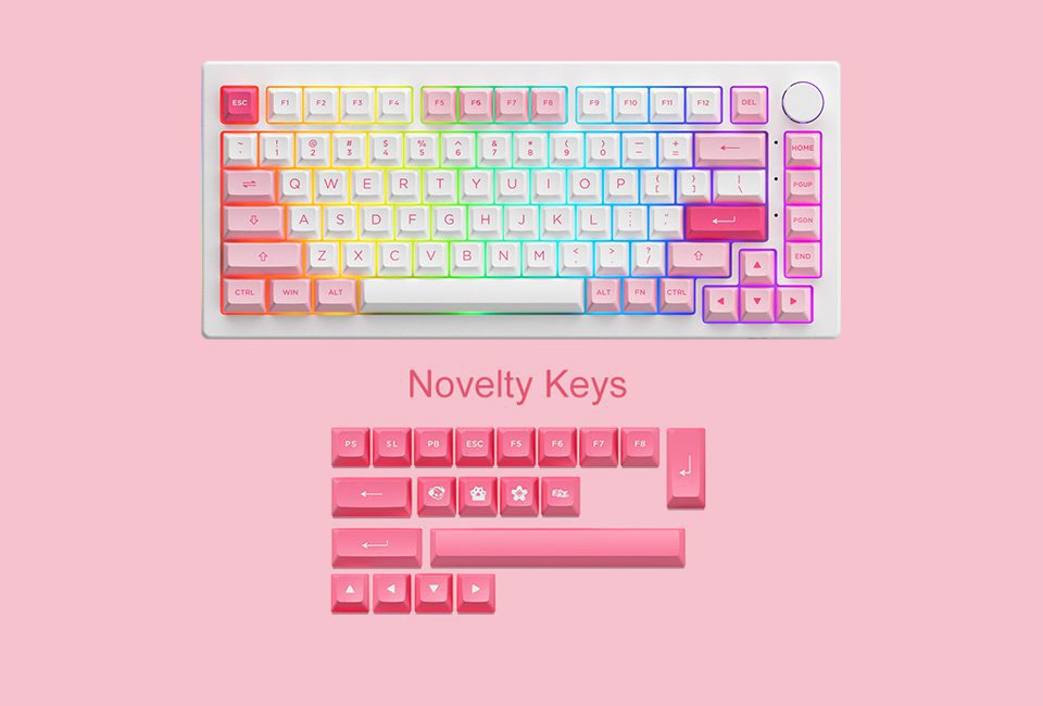 Akko 5075B Plus Prunus Lannesiana 75% Hot Swappable Multi-Modes RGB Mechanical Gaming Keyboard 2.4GHz Wireless/USB Type-C/BT 5.0 Akko 5075B Plus Prunus Lannesiana 75% Hot Swappable Multi-Modes RGB Mechanical Gaming Keyboard 2.4GHz Wireless/USB Type-C/BT 5.0