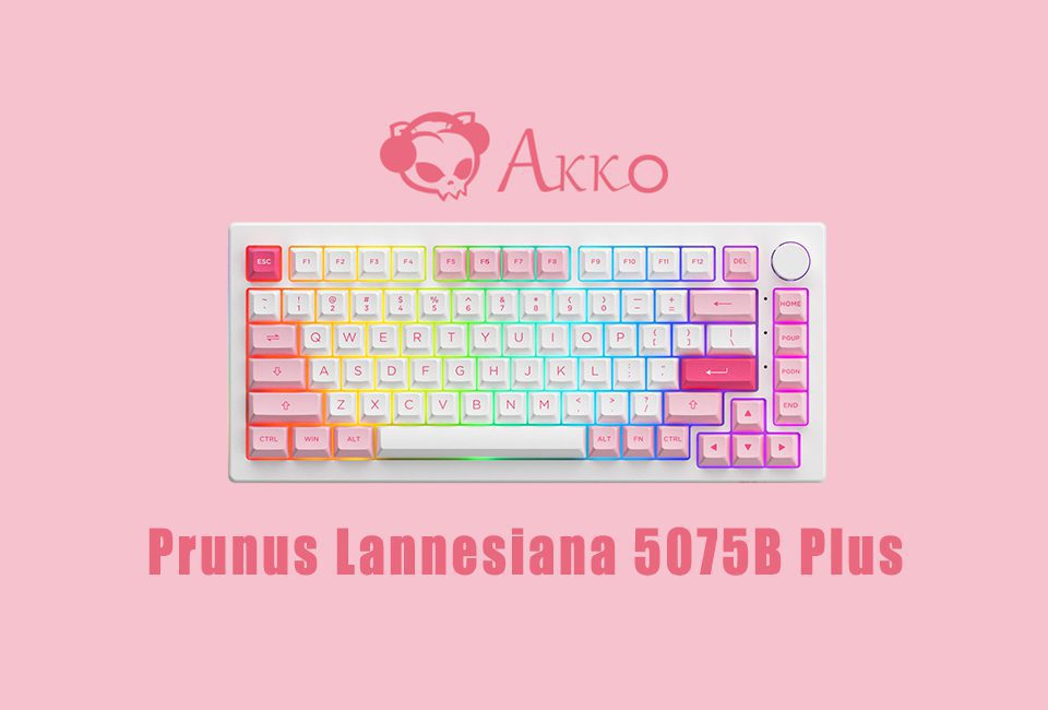 Akko 5075B Plus Prunus Lannesiana 75% Hot Swappable Multi-Modes RGB Mechanical Gaming Keyboard 2.4GHz Wireless/USB Type-C/BT 5.0 Akko 5075B Plus Prunus Lannesiana 75% Hot Swappable Multi-Modes RGB Mechanical Gaming Keyboard 2.4GHz Wireless/USB Type-C/BT 5.0