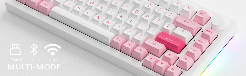Akko 5075B Plus Prunus Lannesiana 75% Hot Swappable Multi-Modes RGB Mechanical Gaming Keyboard 2.4GHz Wireless/USB Type-C/BT 5.0 Akko 5075B Plus Prunus Lannesiana 75% Hot Swappable Multi-Modes RGB Mechanical Gaming Keyboard 2.4GHz Wireless/USB Type-C/BT 5.0