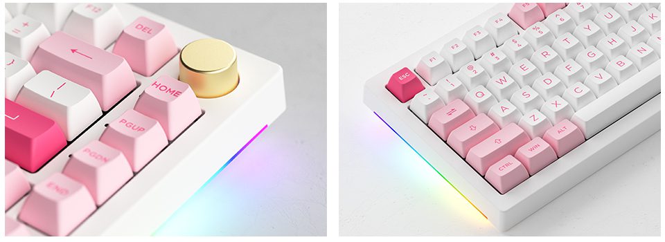 Akko 5075B Plus Prunus Lannesiana 75% Hot Swappable Multi-Modes RGB Mechanical Gaming Keyboard 2.4GHz Wireless/USB Type-C/BT 5.0 Akko 5075B Plus Prunus Lannesiana 75% Hot Swappable Multi-Modes RGB Mechanical Gaming Keyboard 2.4GHz Wireless/USB Type-C/BT 5.0