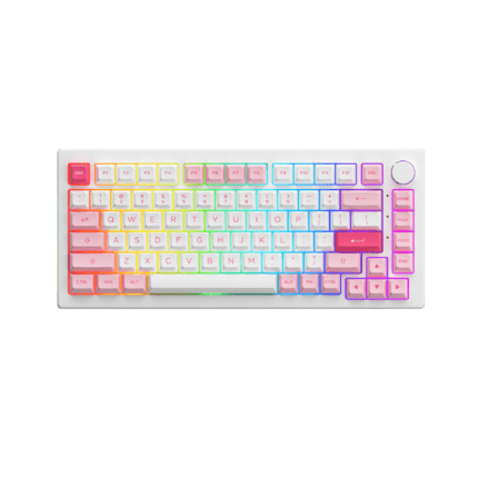 Akko 5075B Plus Prunus Lannesiana Multi-Modes Keyboard
