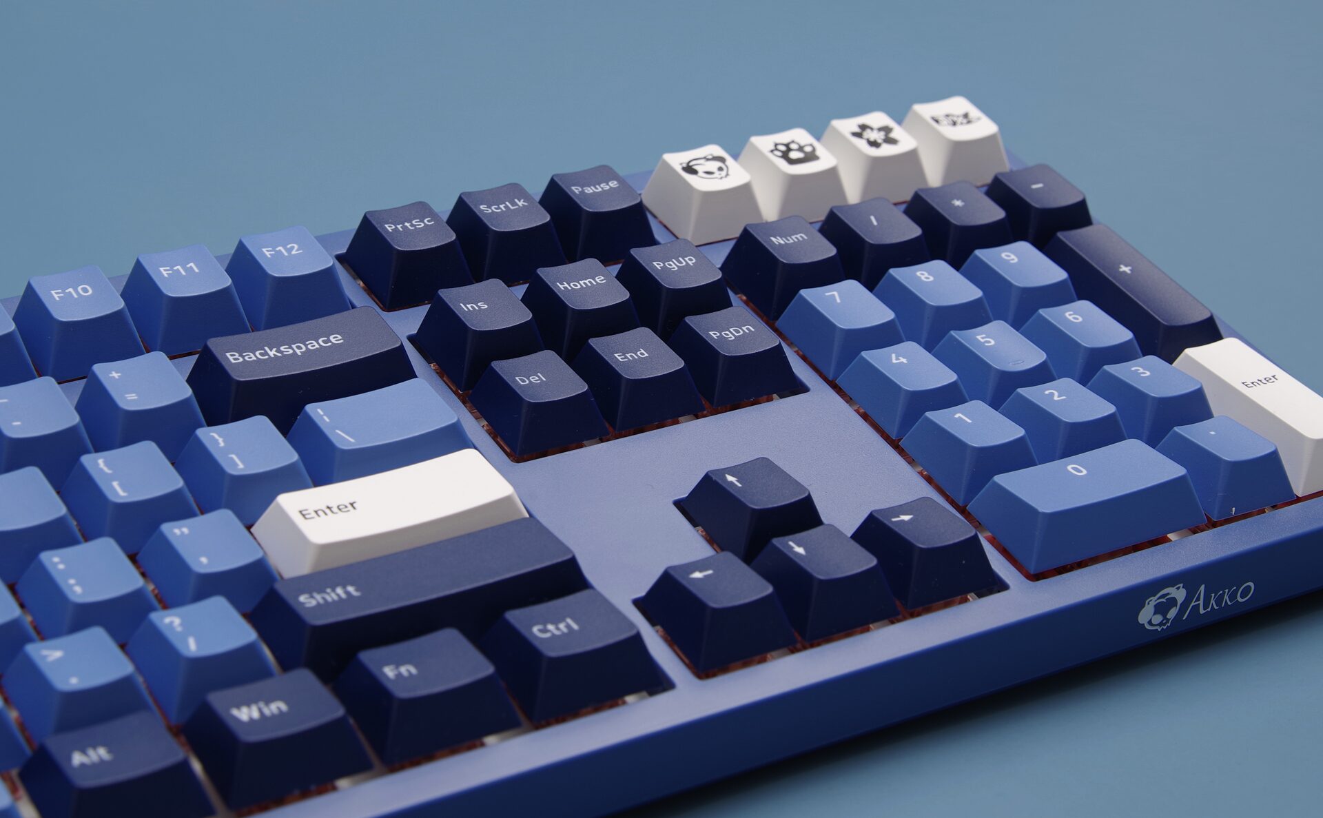 Akko 3108 DS Ocean Star Full-Size Mechanical Gaming Keyboard Wired 108-key with Cherry Profile PBT Double-Shot Keycaps