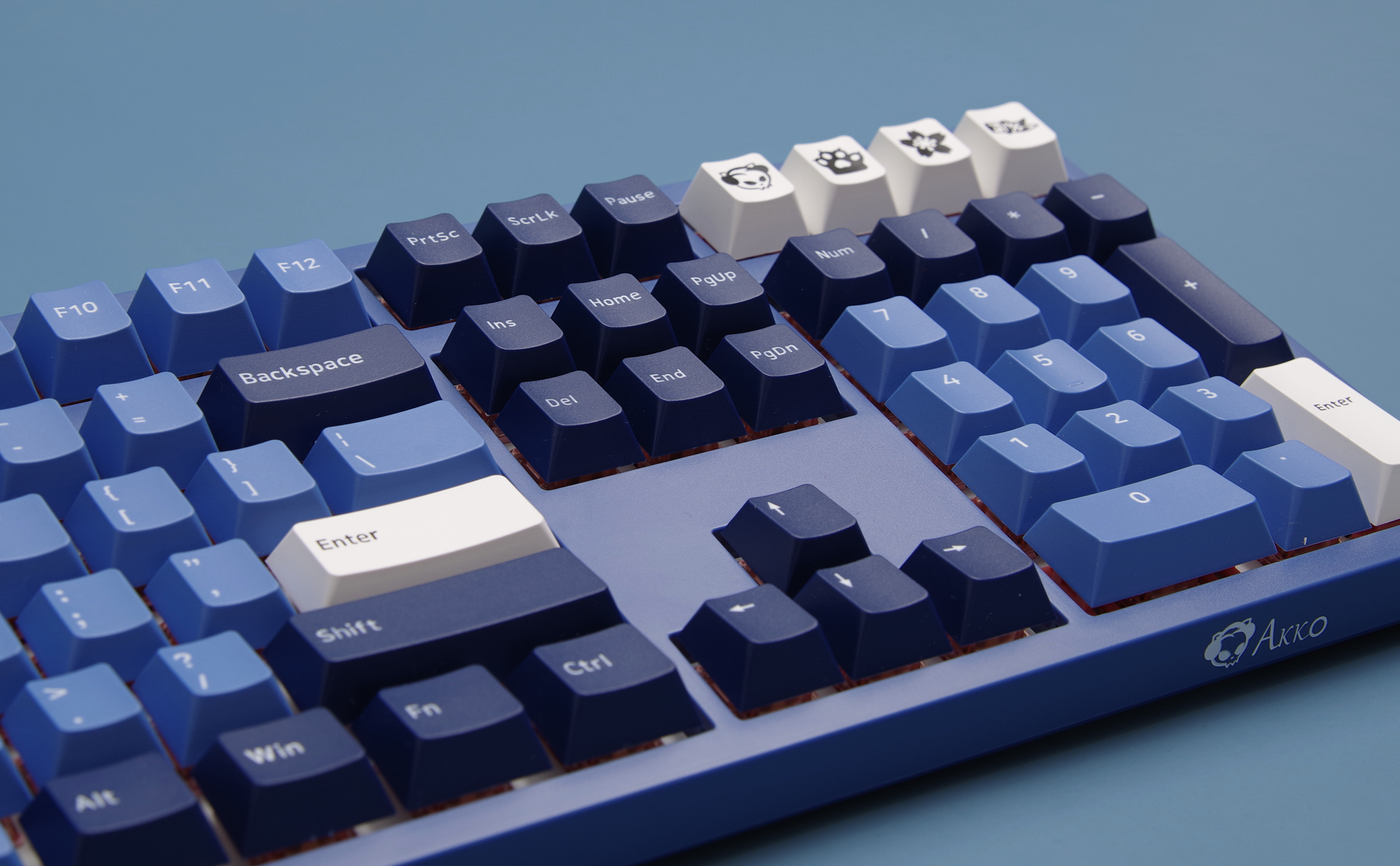 Akko 3108 DS Ocean Star Full-Size Mechanical Gaming Keyboard Wired 108-key with Cherry Profile PBT Double-Shot Keycaps