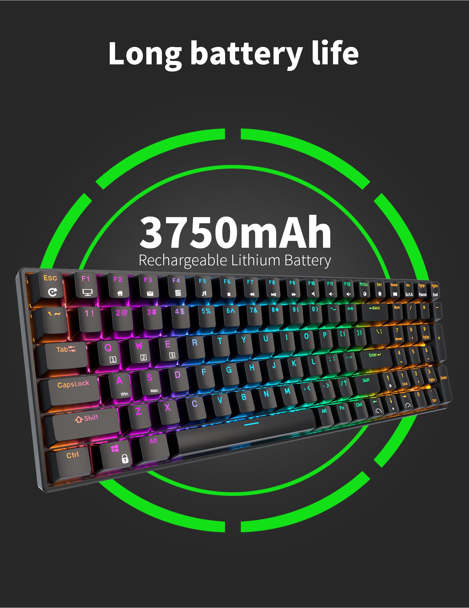 RK ROYAL KLUDGE RK100 2.4G Wireless/Bluetooth/Wired RGB Mechanical Keyboard 100 Keys Hot Swappable Gaming Keyboard for Win/Mac RK ROYAL KLUDGE RK100 2.4G Wireless/Bluetooth/Wired RGB Mechanical Keyboard 100 Keys Hot Swappable Gaming Keyboard for Win/Mac
