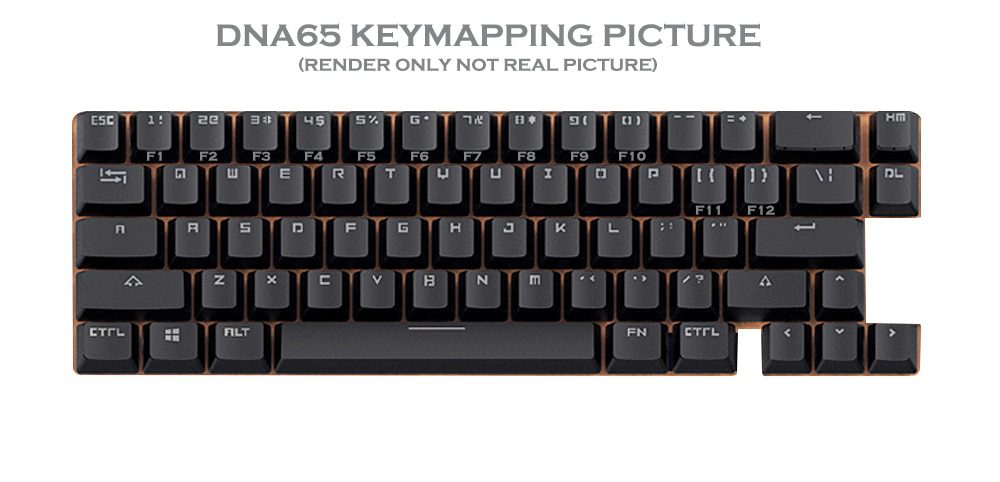 DNA65 65% Custom Mechanical Keyboard Kit PCB CASE hot swappable switch support lighting effects with RGB switch led DNA65 65% Custom Mechanical Keyboard Kit PCB CASE hot swappable switch support lighting effects with RGB switch led