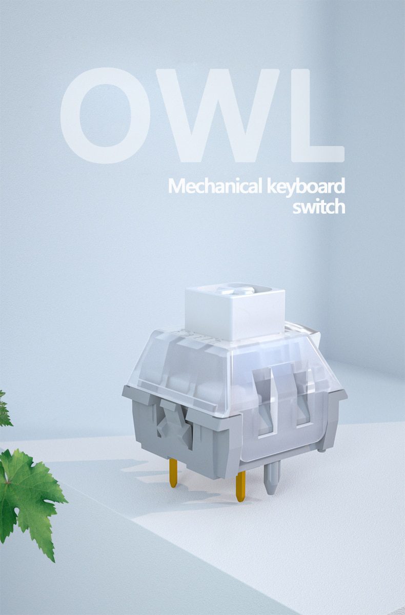 10PCS Kailh White Owl V2 Switch RGB SMD Clicky 70g Switches For Mechanical keyboard mx stem 5pin White Grey 10PCS Kailh White Owl V2 Switch RGB SMD Clicky 70g Switches For Mechanical keyboard mx stem 5pin White Grey