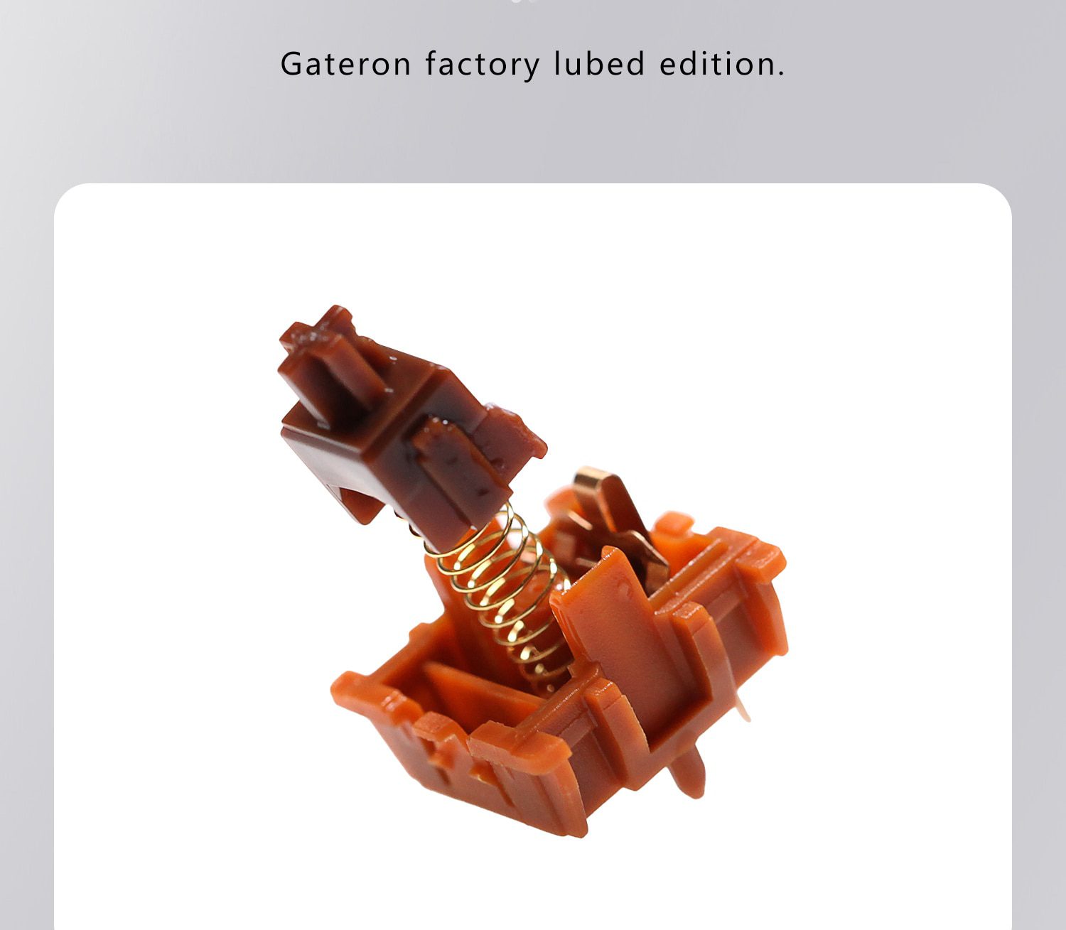 35pcs Gateron CAP V2 Gold Borwn Milky Brown Switch Extras 5pin RGB Tactile 55g mx stem switch for mechanical keyboard 60m 35pcs Gateron CAP V2 Gold Borwn Milky Brown Switch Extras 5pin RGB Tactile 55g mx stem switch for mechanical keyboard 60m