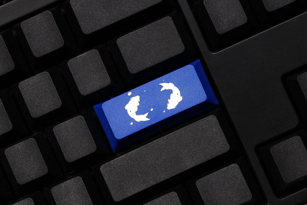 Novelty cherry profile dip dye sculpture pbt keycap for mechanical keyboard laser etched legend koi fish enter black red blue