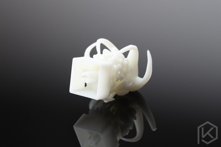 Novelty Shine Through Keycaps 3d printed print printing pla monster custom mechanical keyboards light Cherry MX compatible Novelty Shine Through Keycaps 3d printed print printing pla monster custom mechanical keyboards light Cherry MX compatible