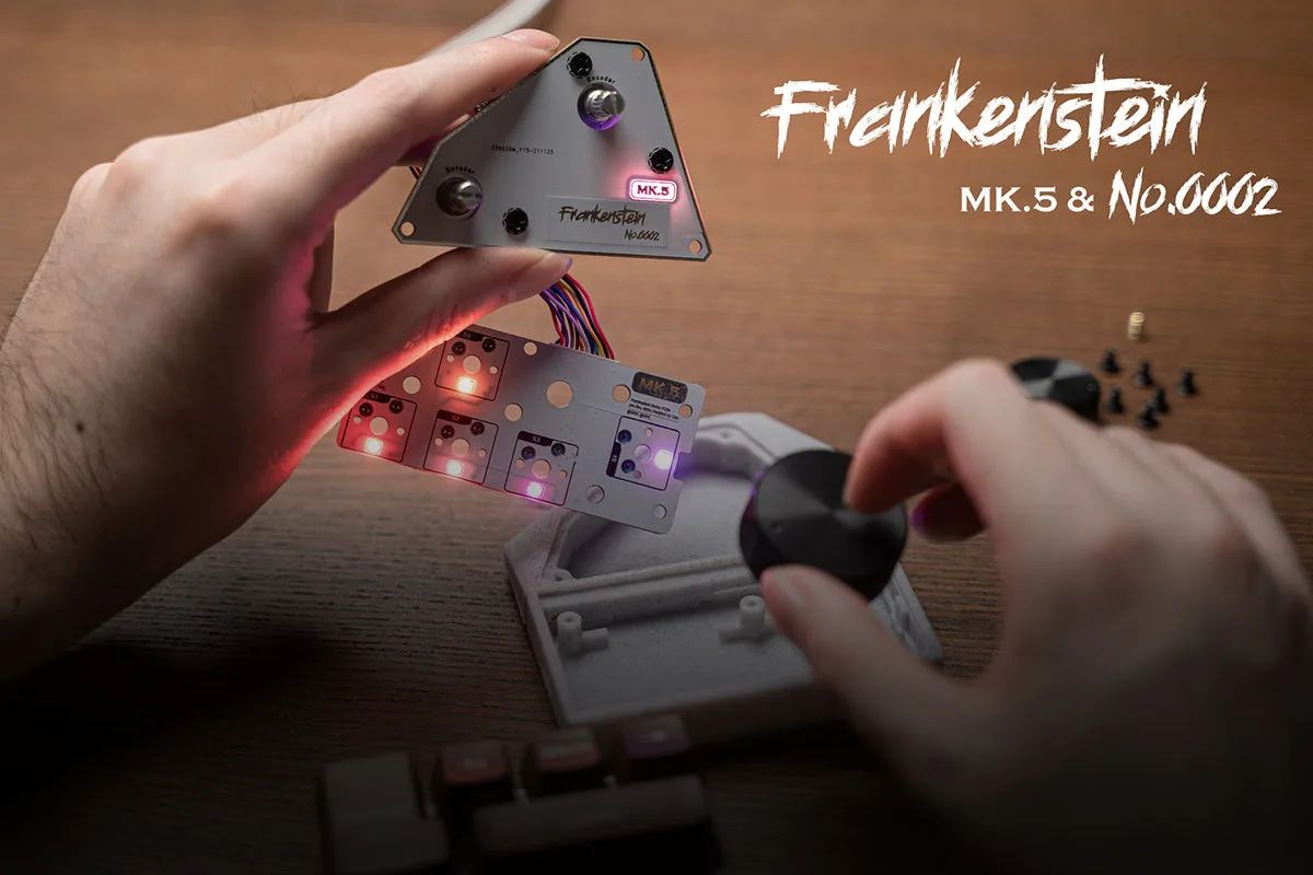 Ezyezll Frankenstein NO.2846 Kit