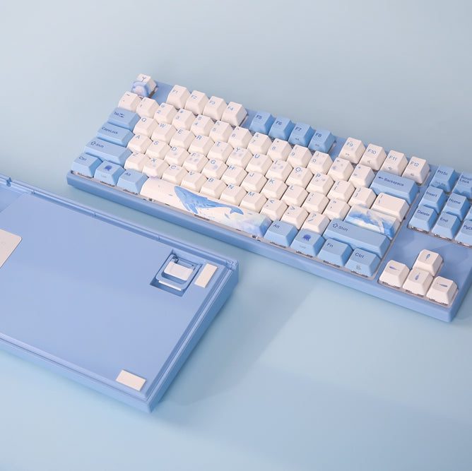 Mechanical Keyboard